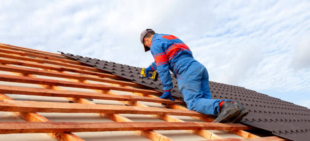 Professional Roofing services in Hebbronville, TX